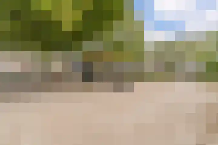 Duifhuisweg 33 Oisterwijk thumbnail 34