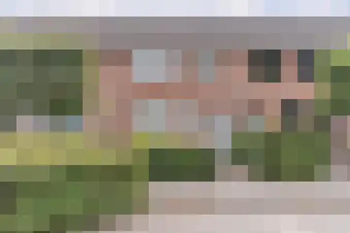 Duifhuisweg 33 Oisterwijk thumbnail 35