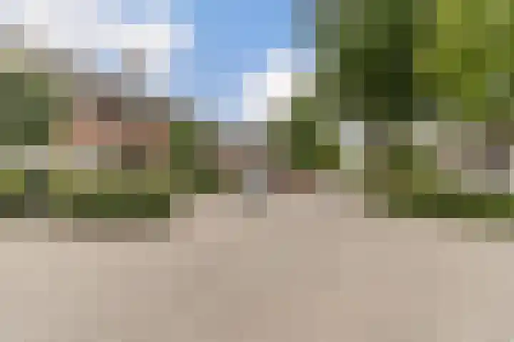 Duifhuisweg 33 Oisterwijk thumbnail 38