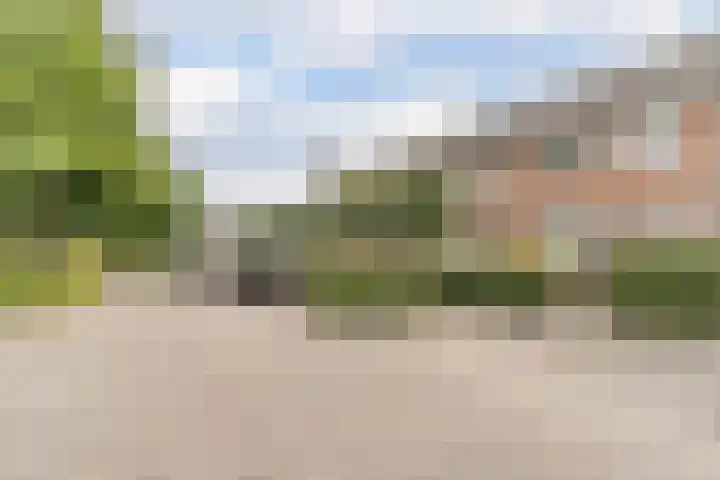 Duifhuisweg 33 Oisterwijk thumbnail 39