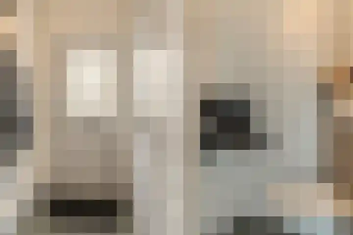 Duifhuisweg 33 Oisterwijk thumbnail 5