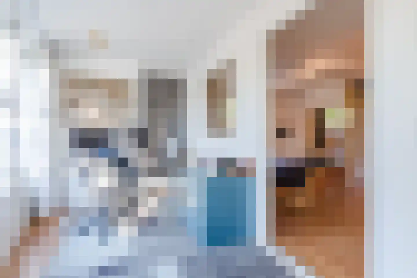 Duifkruid 1 Amersfoort thumbnail 15
