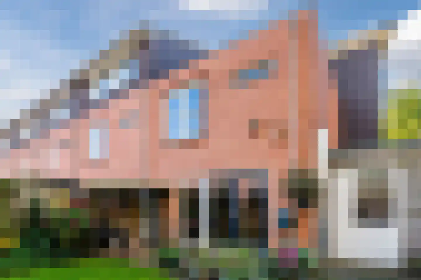 Duifkruid 1 Amersfoort thumbnail 22
