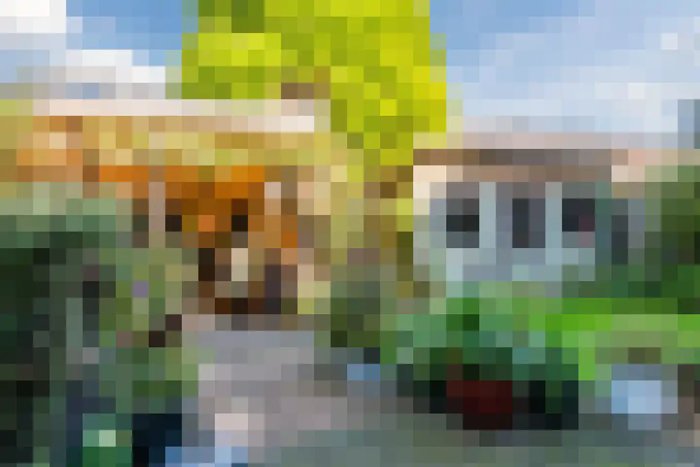 Duifkruid 1 Amersfoort thumbnail 23