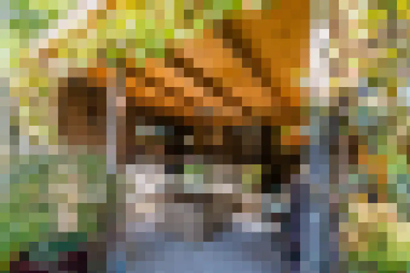 Duifkruid 1 Amersfoort thumbnail 24