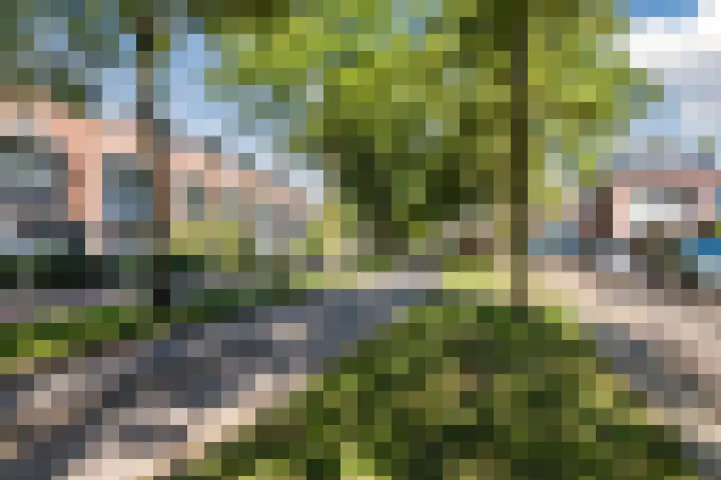 Duifkruid 1 Amersfoort thumbnail 25