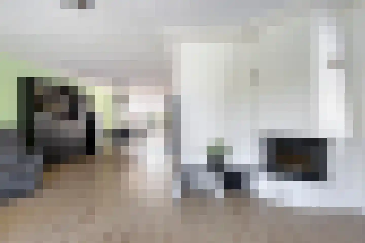 Duifkruid 10 Swifterbant thumbnail 11