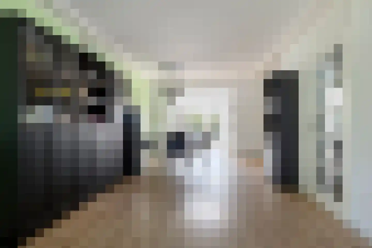 Duifkruid 10 Swifterbant thumbnail 17