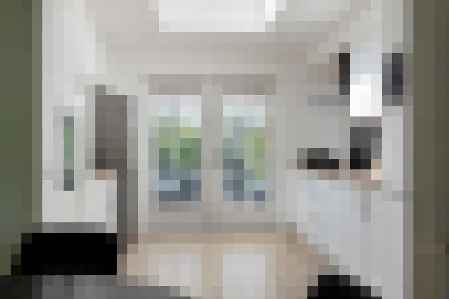 Duifkruid 10 Swifterbant thumbnail 20