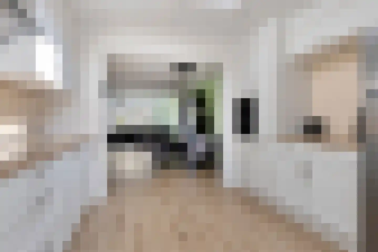Duifkruid 10 Swifterbant thumbnail 22