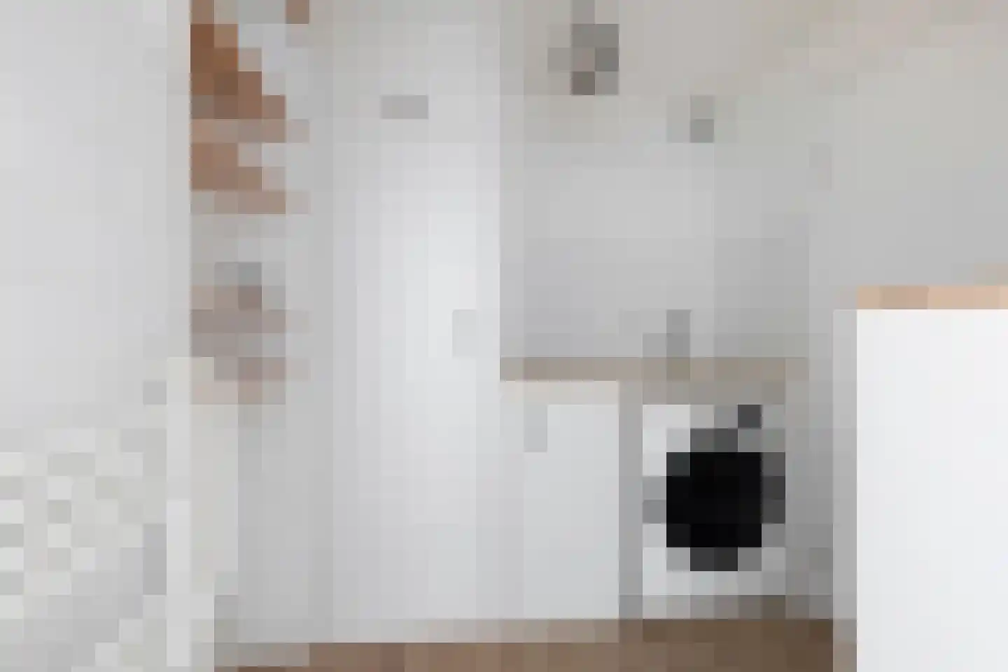 Duifkruid 10 Swifterbant thumbnail 26