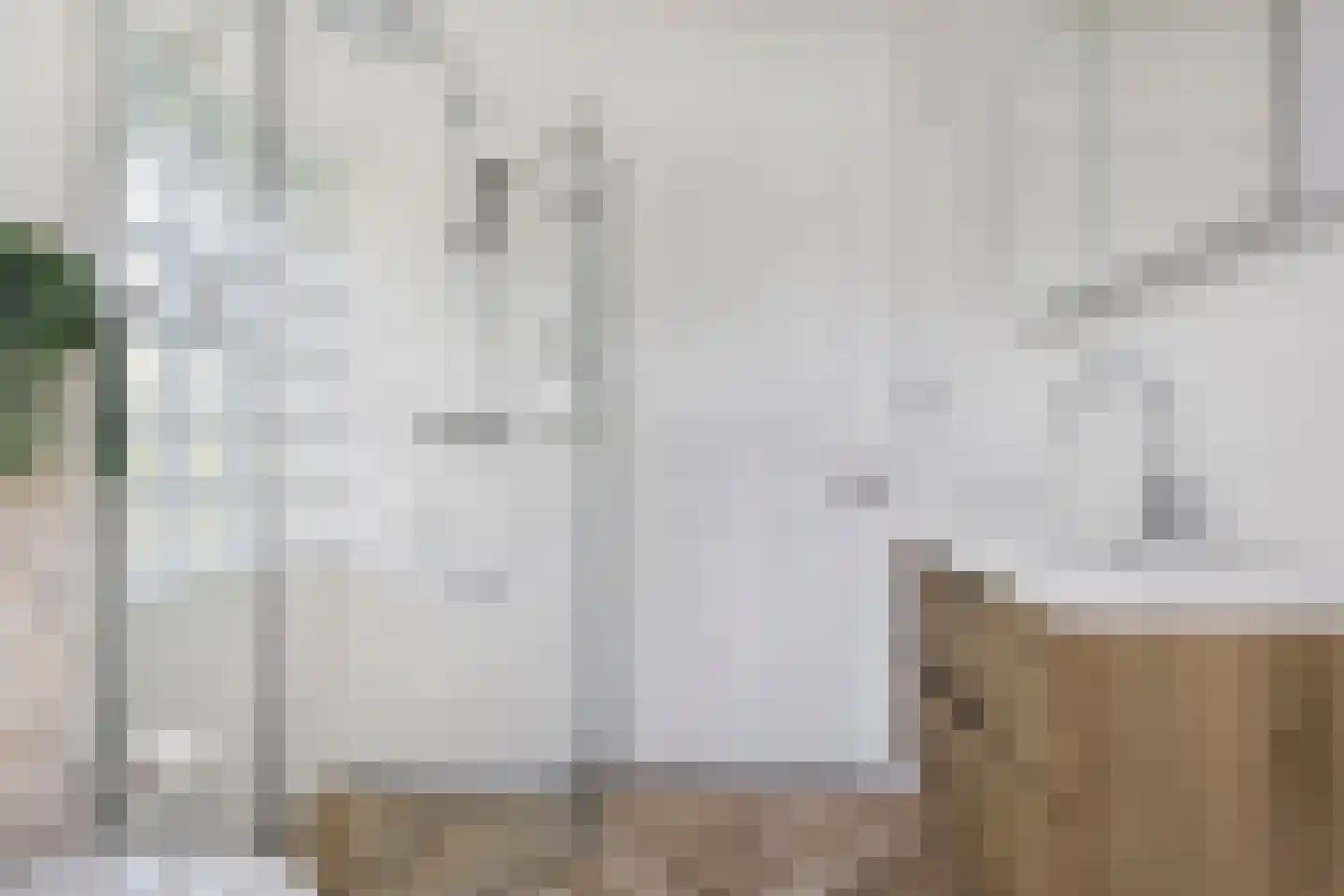 Duifkruid 10 Swifterbant thumbnail 36