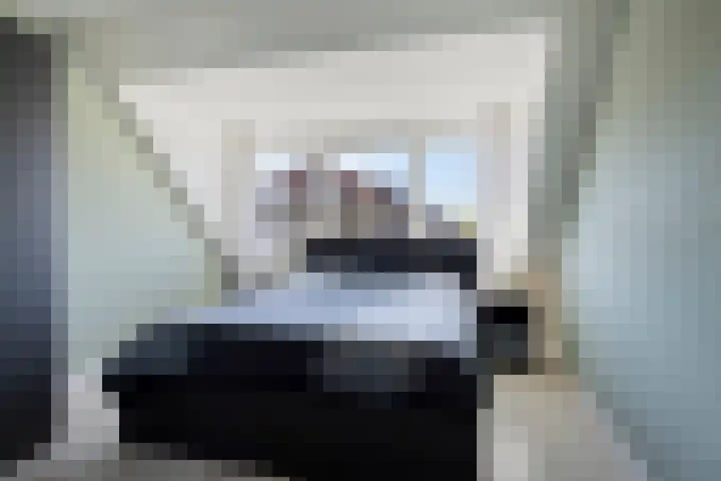 Duifkruid 10 Swifterbant thumbnail 4
