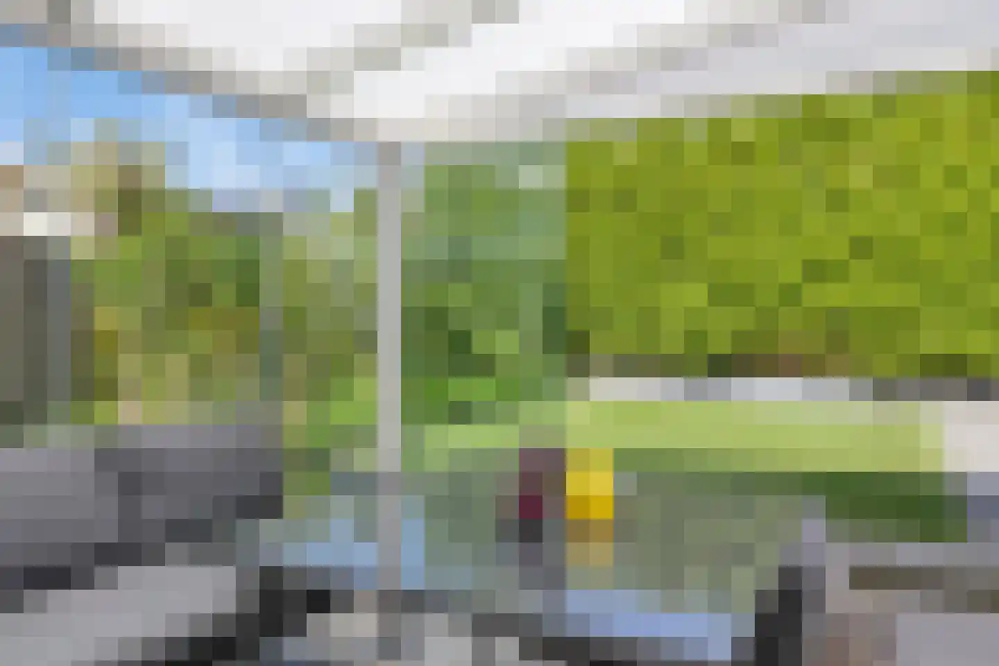 Duifkruid 10 Swifterbant thumbnail 42