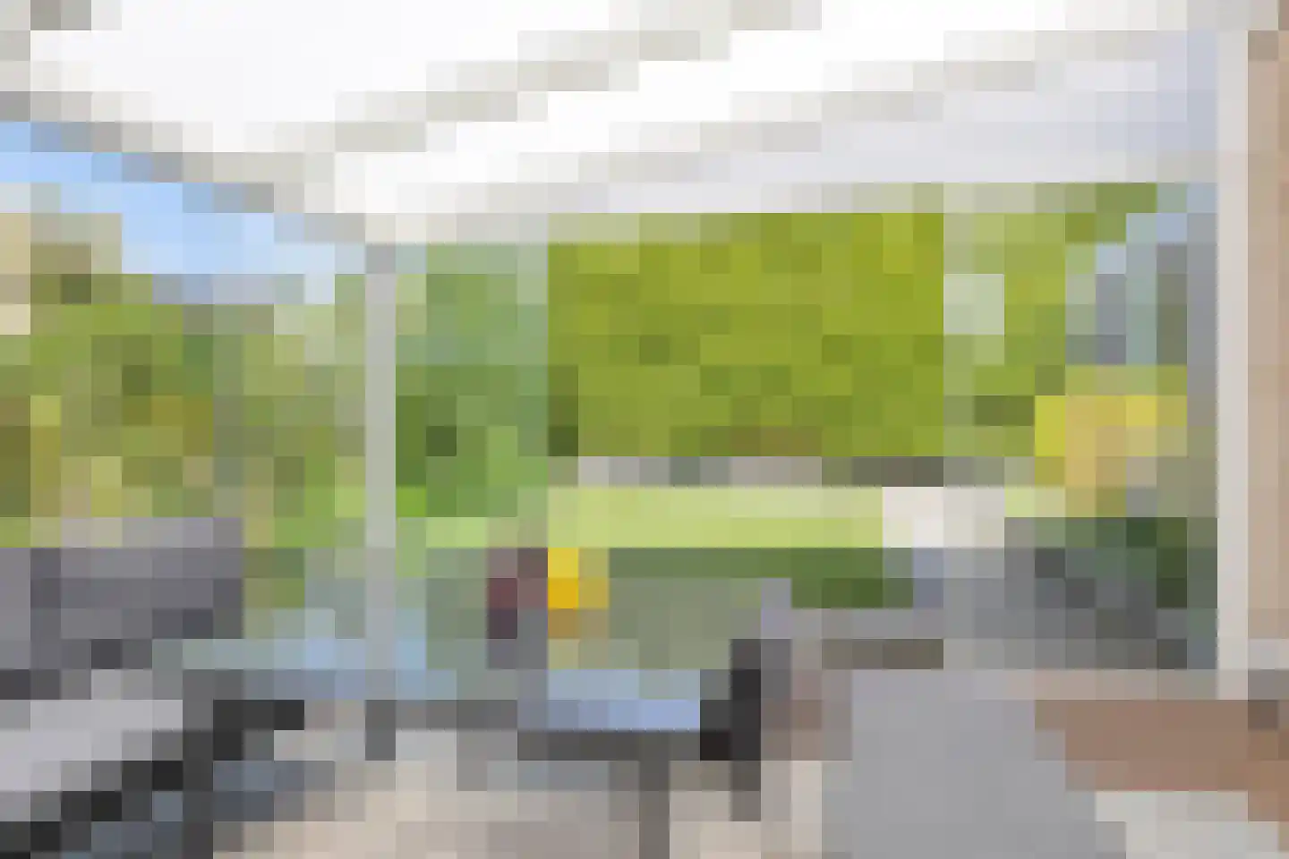 Duifkruid 10 Swifterbant thumbnail 43