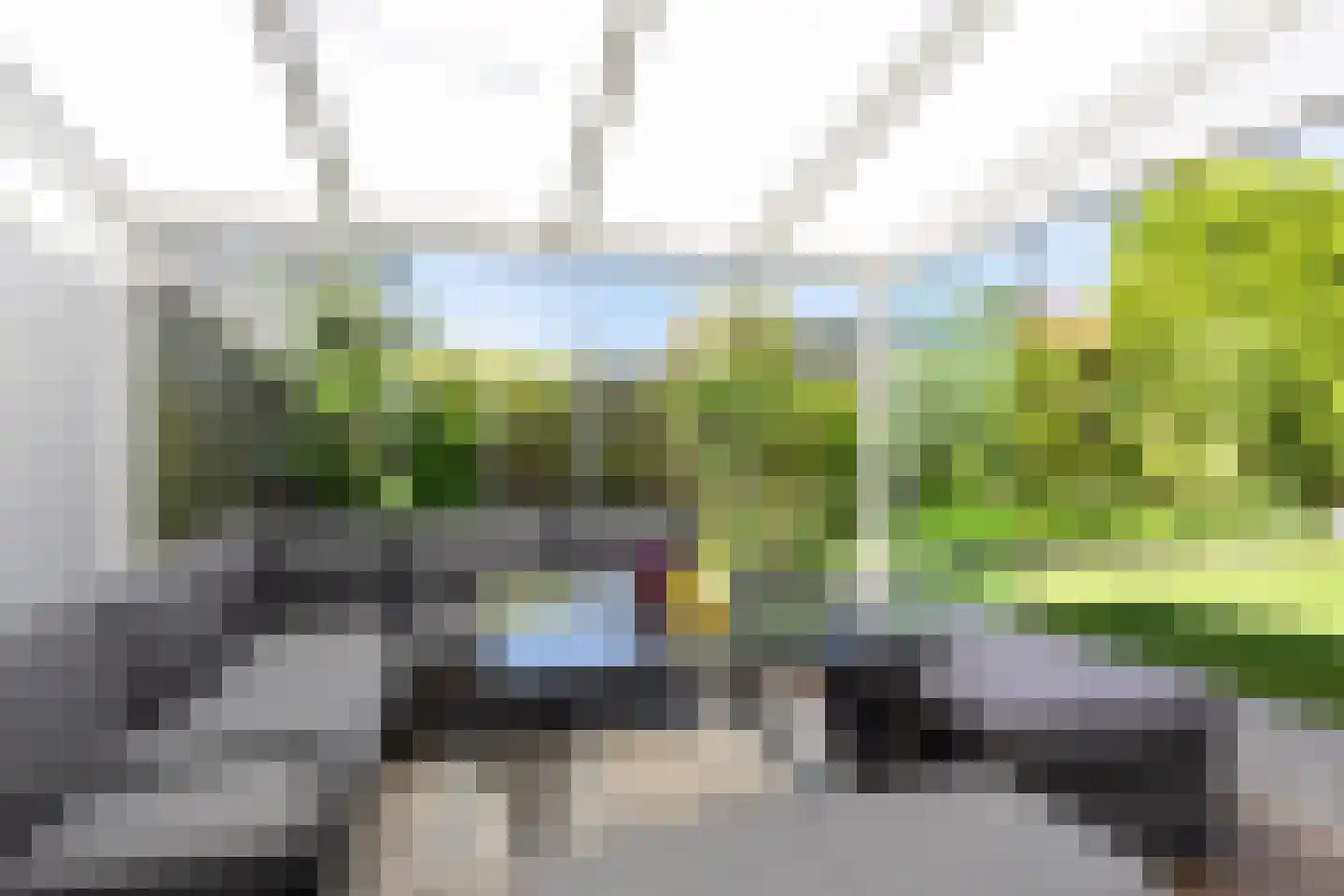 Duifkruid 10 Swifterbant thumbnail 44