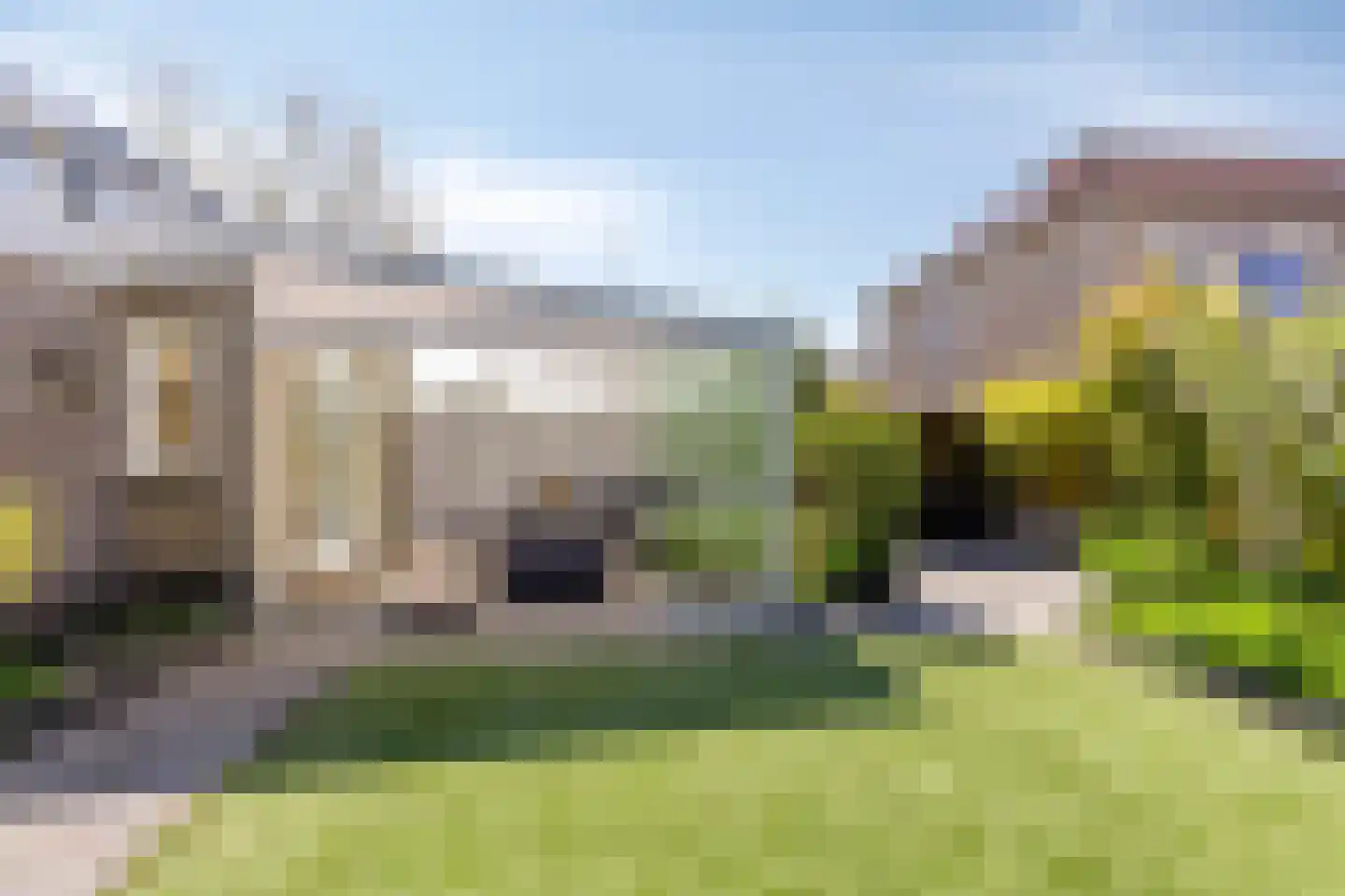 Duifkruid 10 Swifterbant thumbnail 45
