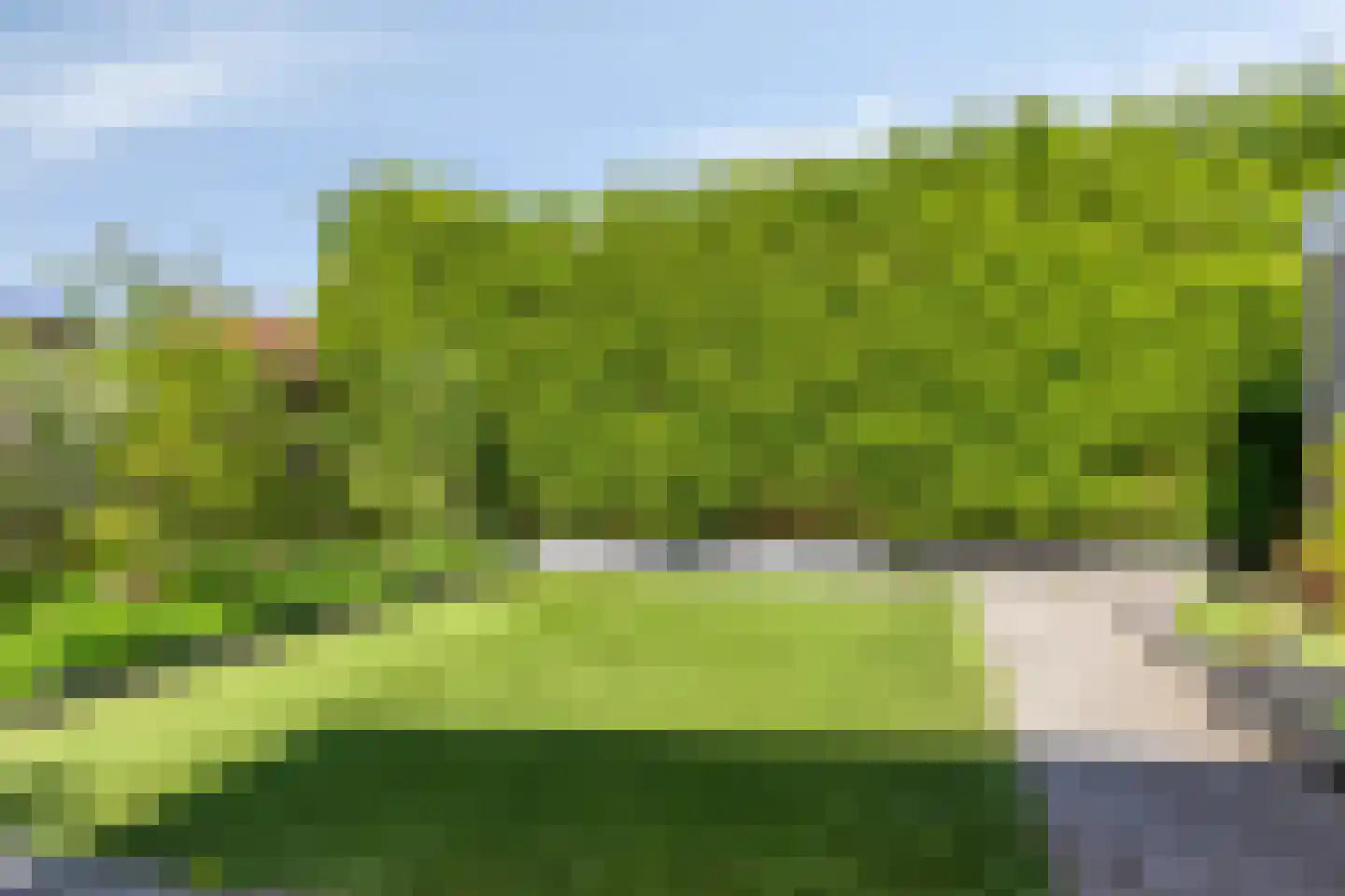 Duifkruid 10 Swifterbant thumbnail 47