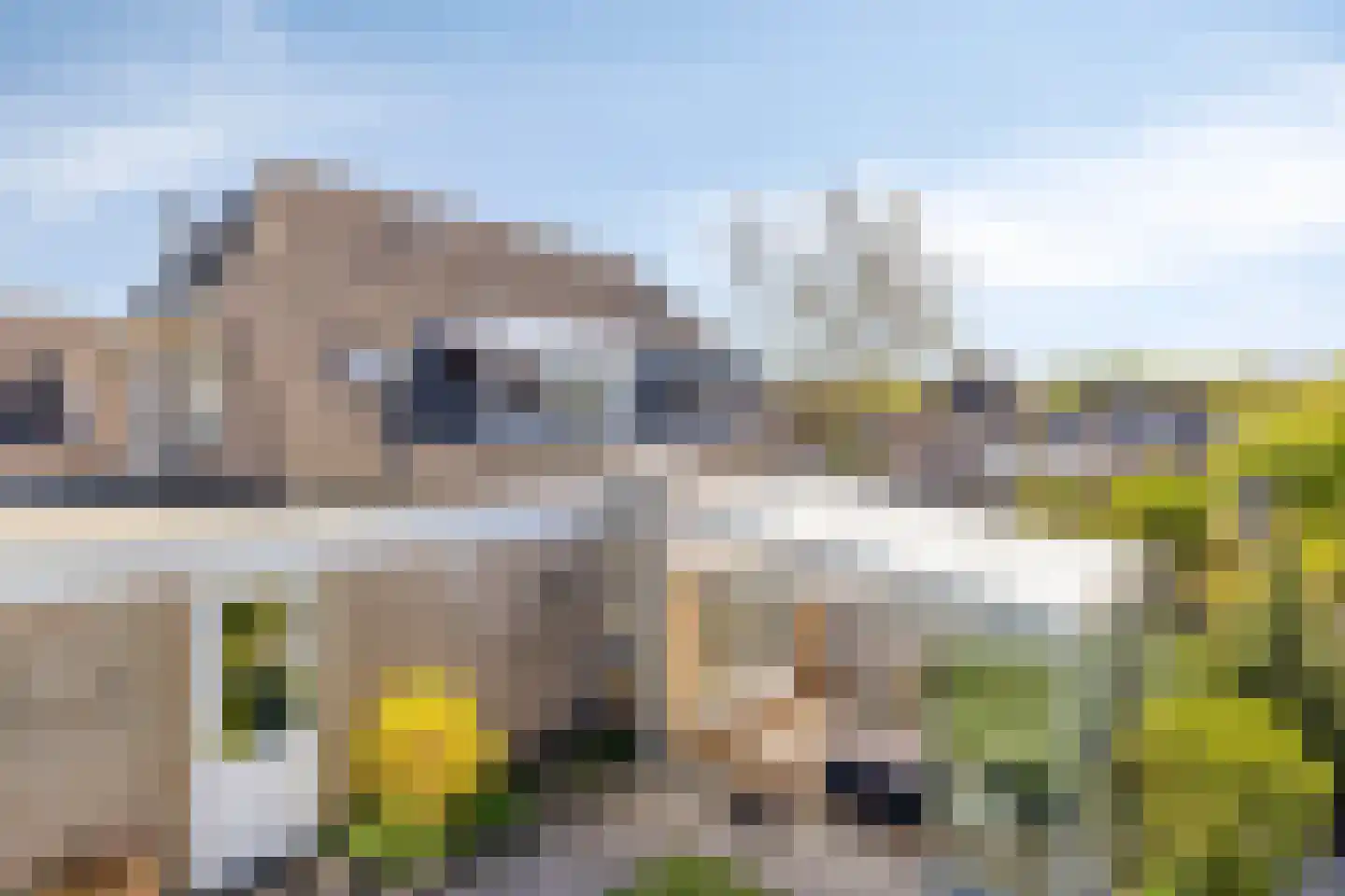 Duifkruid 10 Swifterbant thumbnail 48