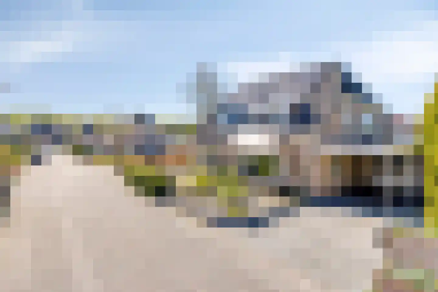 Duifkruid 10 Swifterbant thumbnail 5