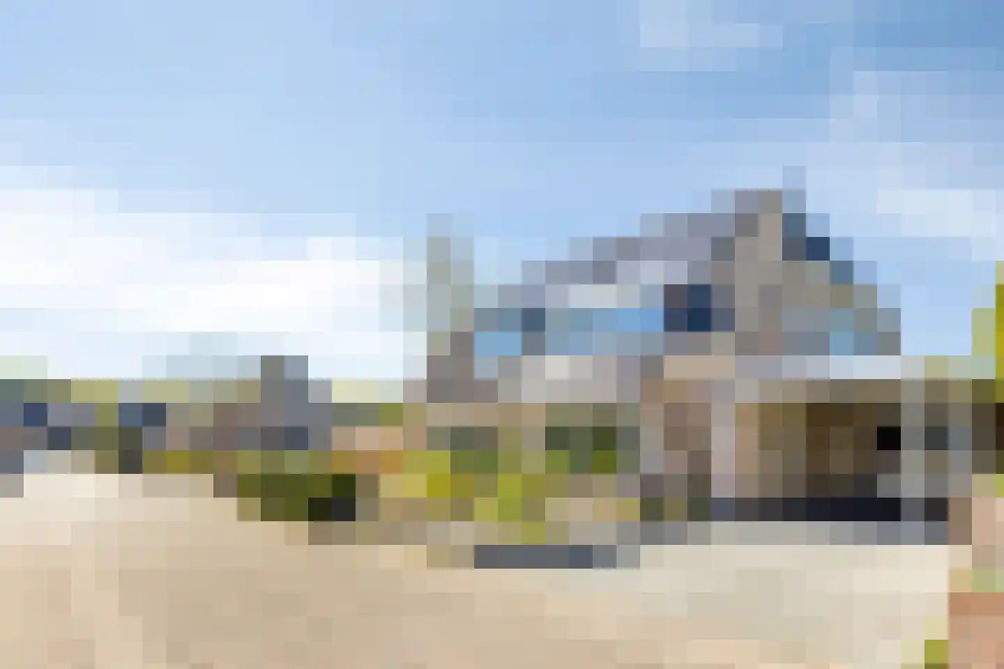 Duifkruid 10 Swifterbant thumbnail 51