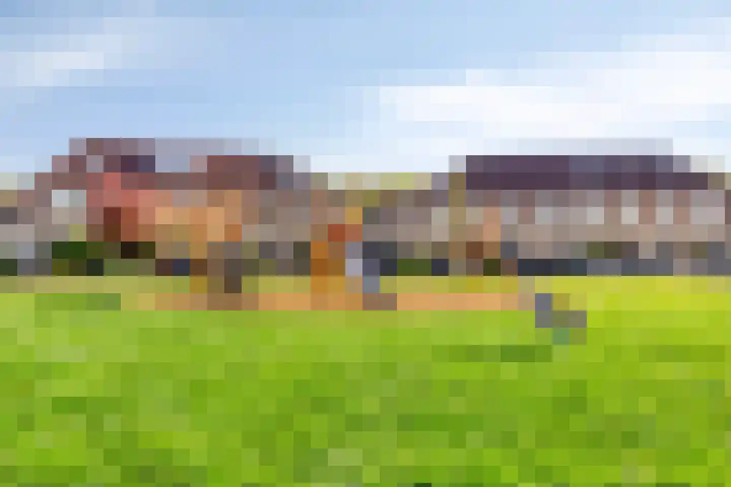 Duifkruid 10 Swifterbant thumbnail 52