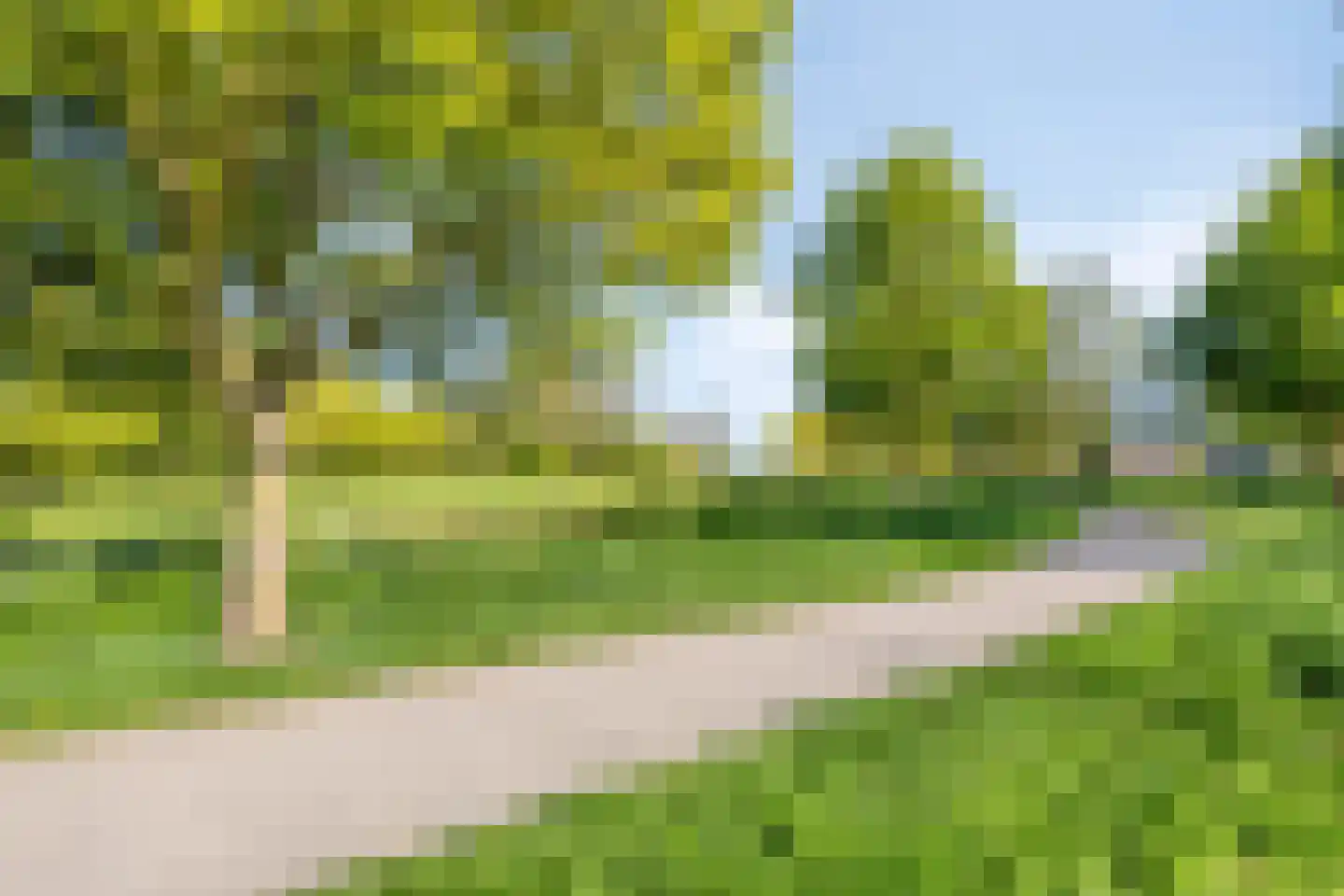 Duifkruid 10 Swifterbant thumbnail 53