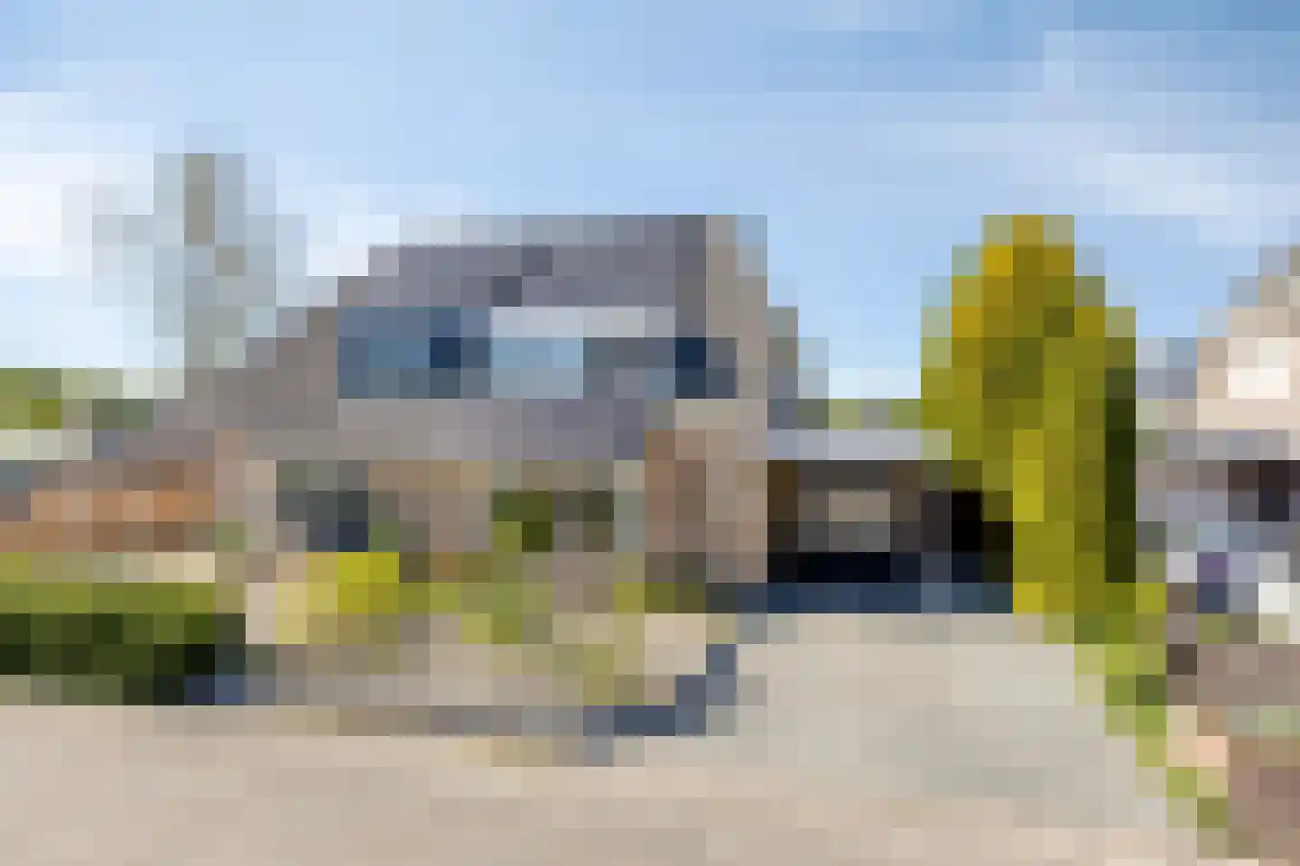 Duifkruid 10 Swifterbant thumbnail 6