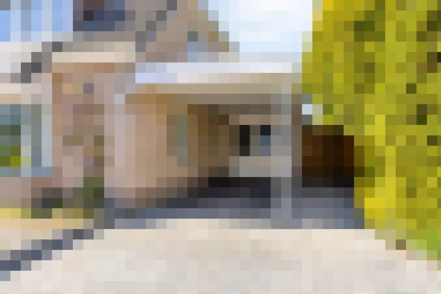 Duifkruid 10 Swifterbant thumbnail 7
