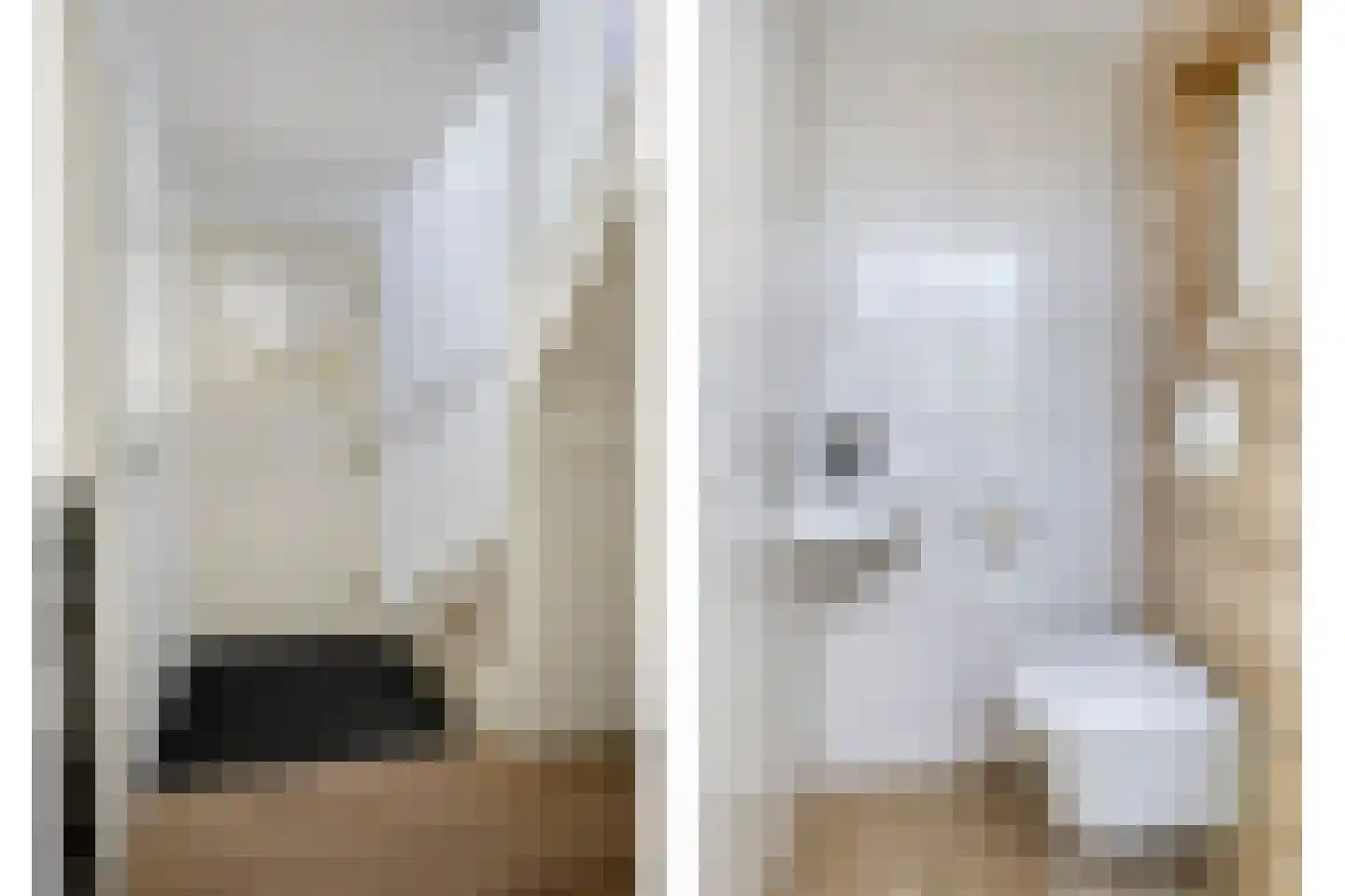 Duifkruid 10 Swifterbant thumbnail 9