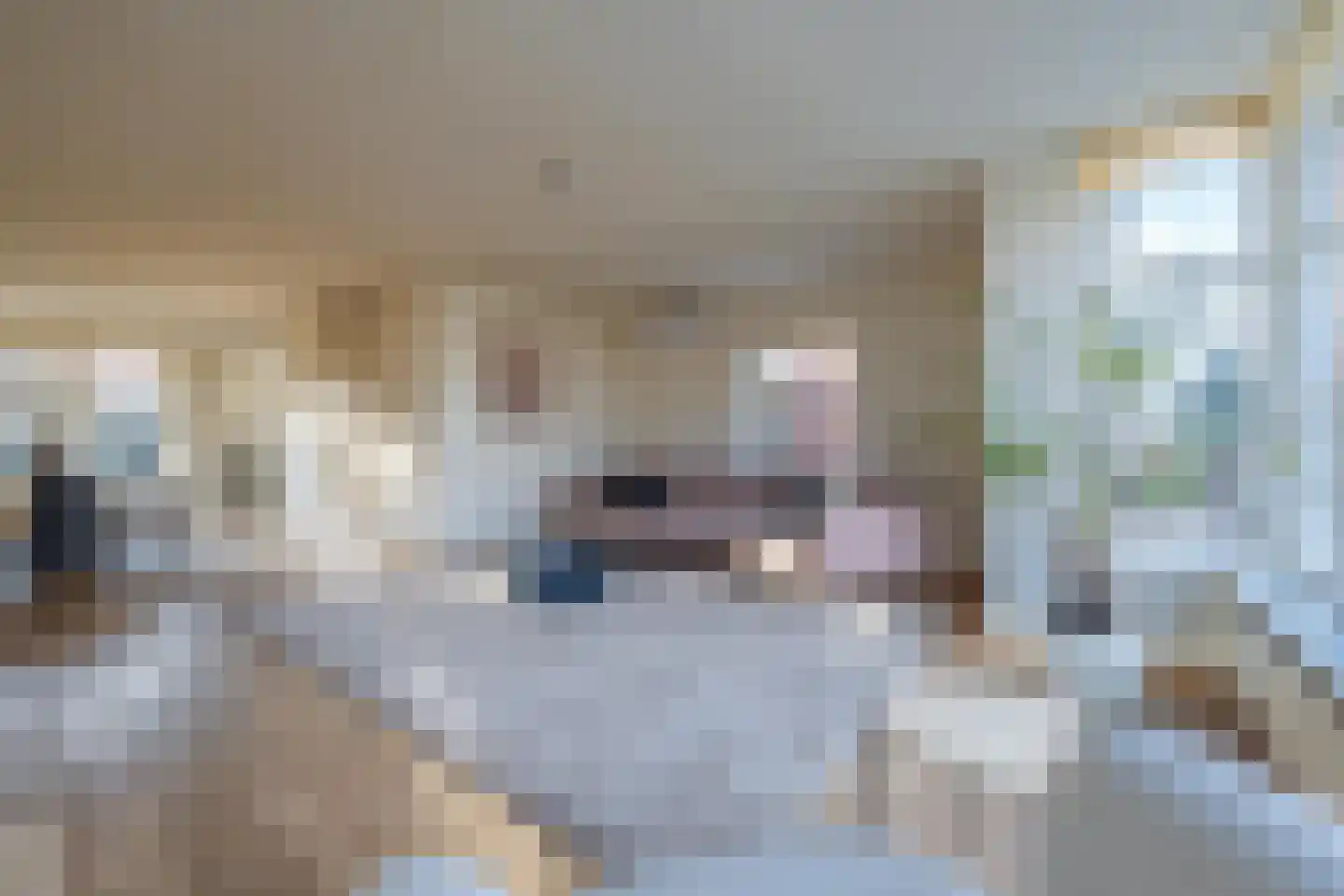 Duifkruid 102 Tiel thumbnail 13