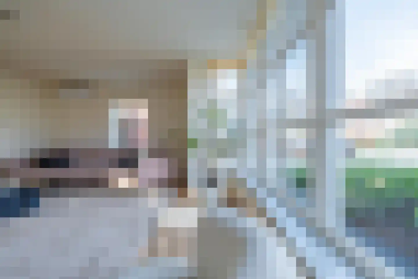 Duifkruid 102 Tiel thumbnail 14