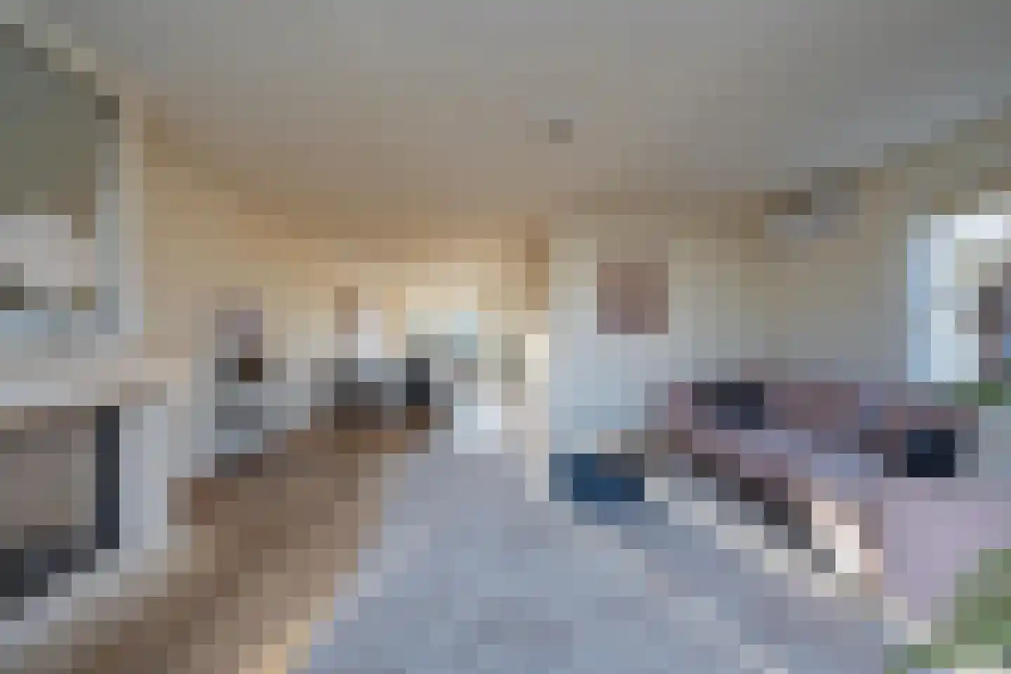 Duifkruid 102 Tiel thumbnail 15