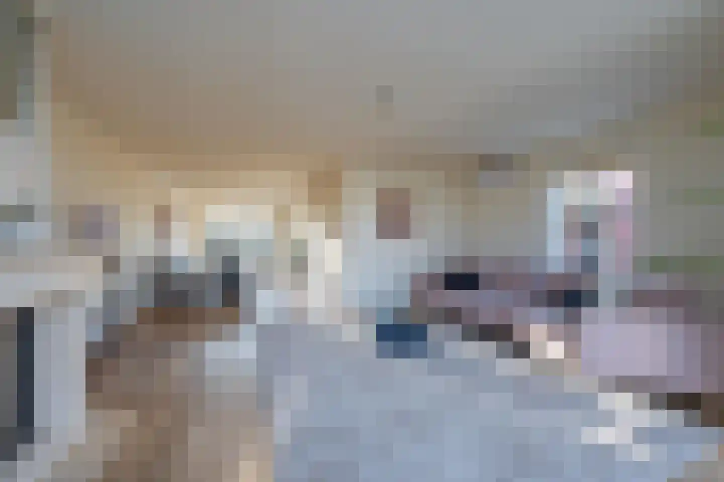 Duifkruid 102 Tiel thumbnail 17