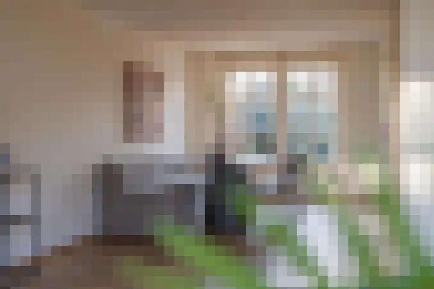 Duifkruid 102 Tiel thumbnail 19