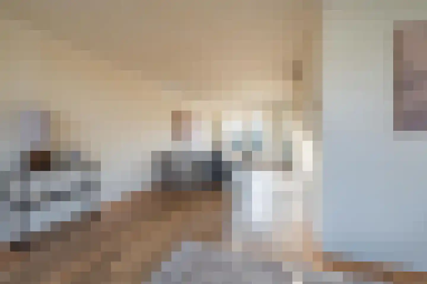 Duifkruid 102 Tiel thumbnail 21