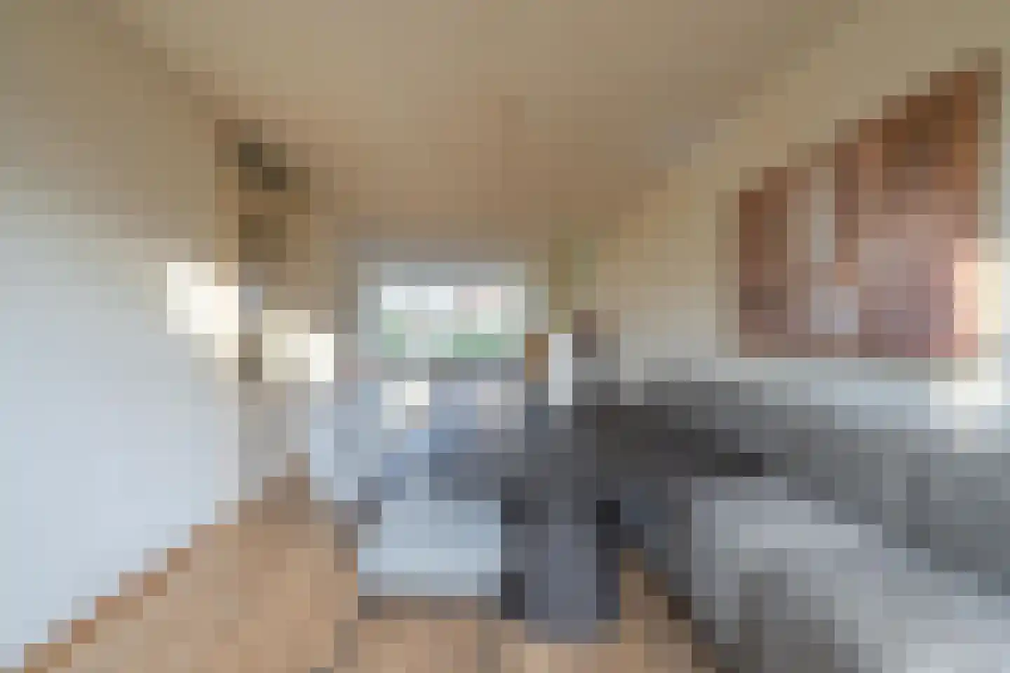 Duifkruid 102 Tiel thumbnail 25