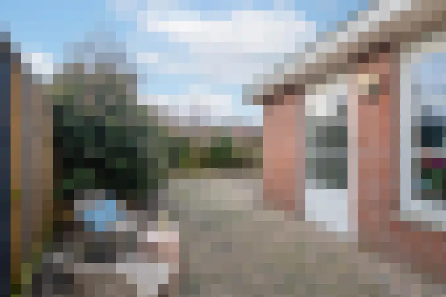 Duifkruid 102 Tiel thumbnail 33
