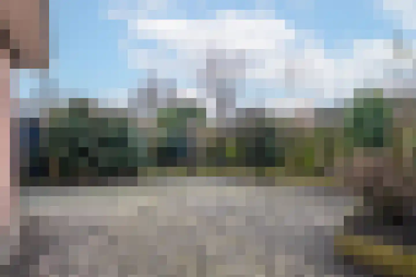 Duifkruid 102 Tiel thumbnail 35