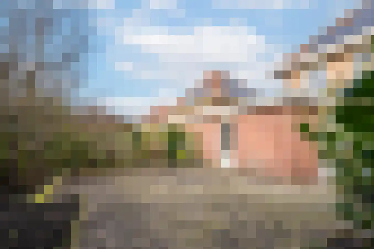 Duifkruid 102 Tiel thumbnail 37