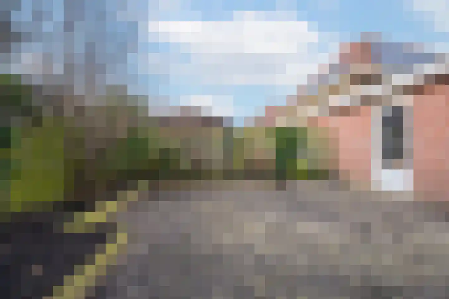 Duifkruid 102 Tiel thumbnail 38