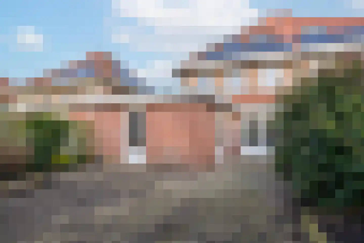 Duifkruid 102 Tiel thumbnail 39