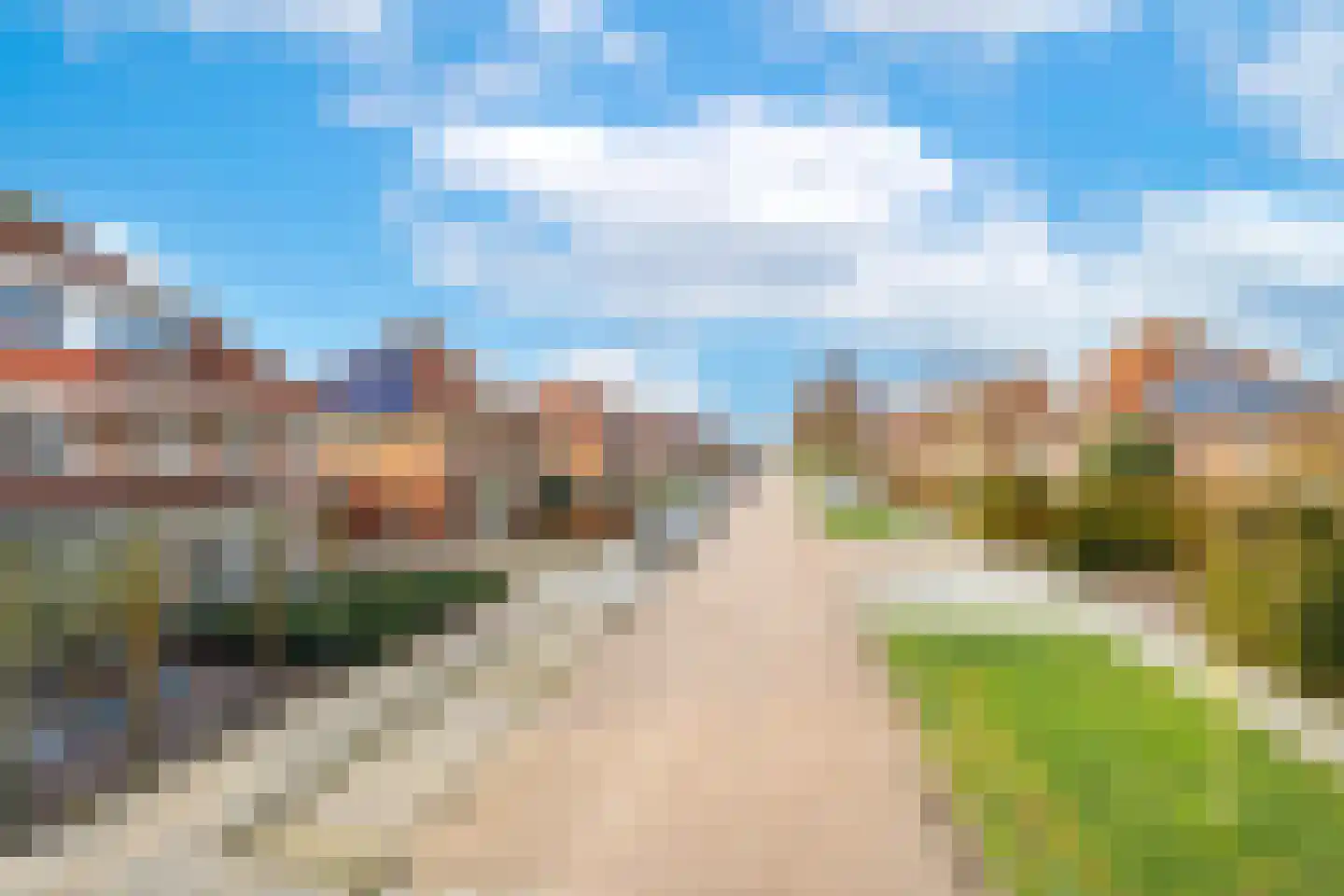 Duifkruid 102 Tiel thumbnail 4