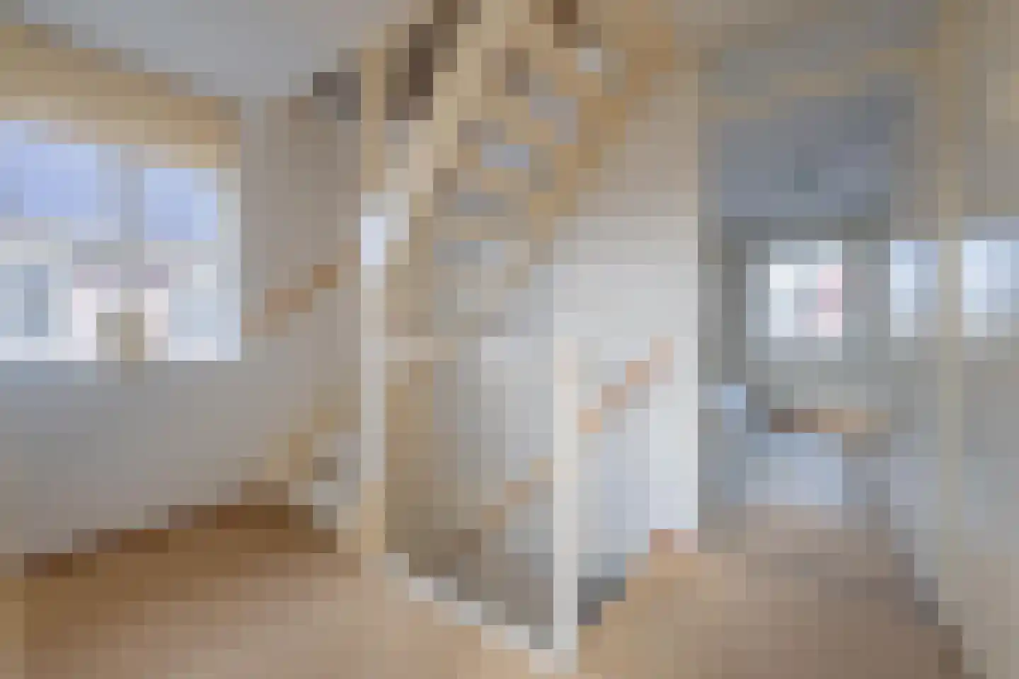 Duifkruid 102 Tiel thumbnail 42