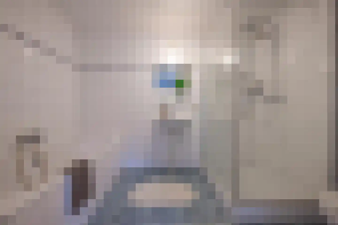 Duifkruid 102 Tiel thumbnail 52