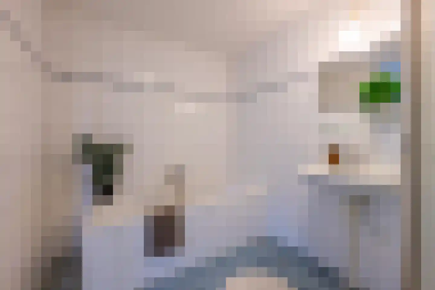 Duifkruid 102 Tiel thumbnail 54