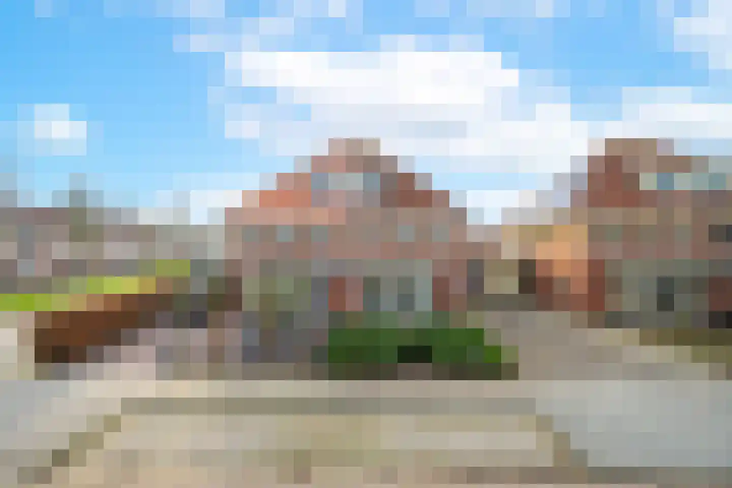 Duifkruid 102 Tiel thumbnail 6