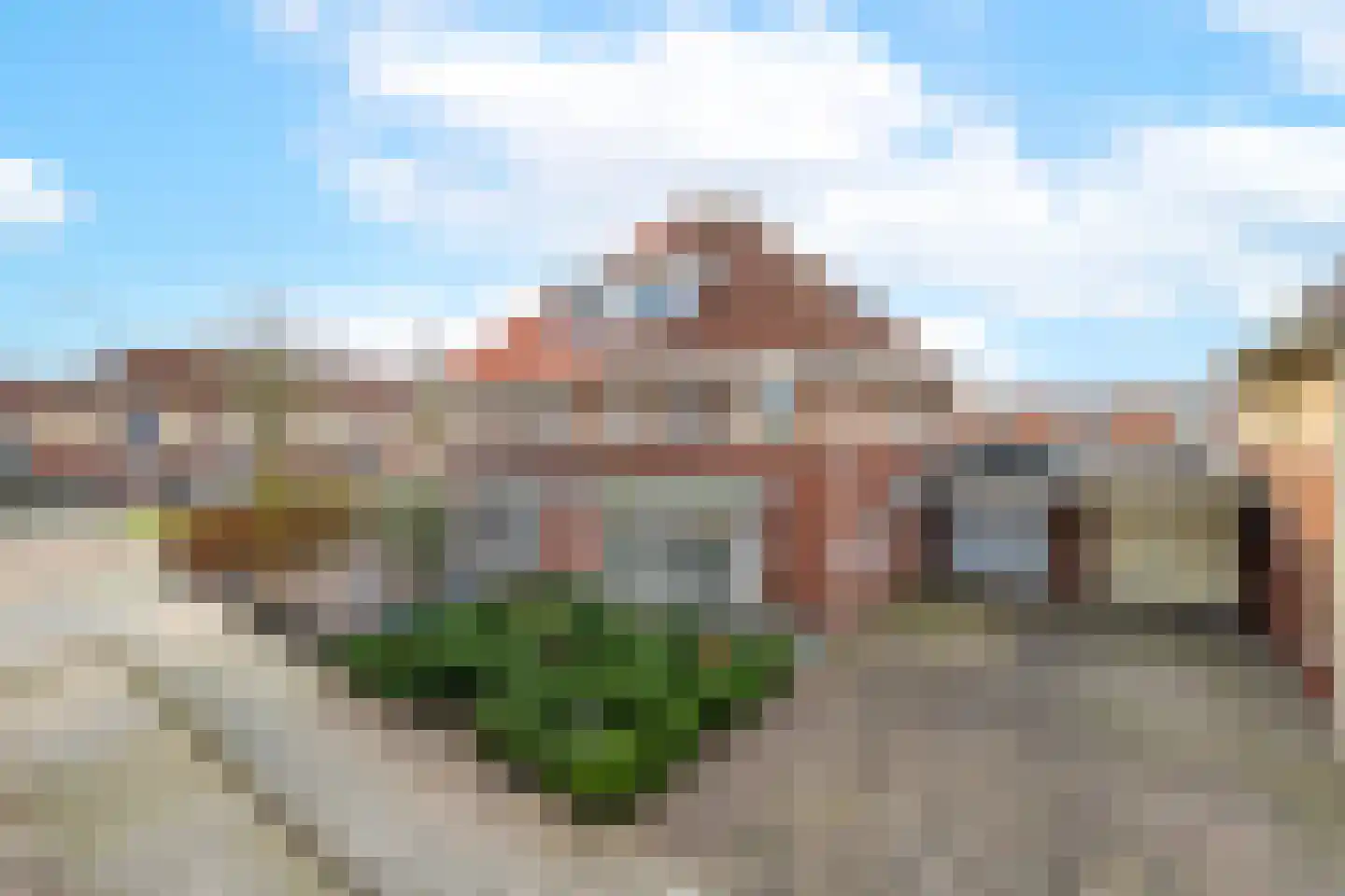Duifkruid 102 Tiel thumbnail 60
