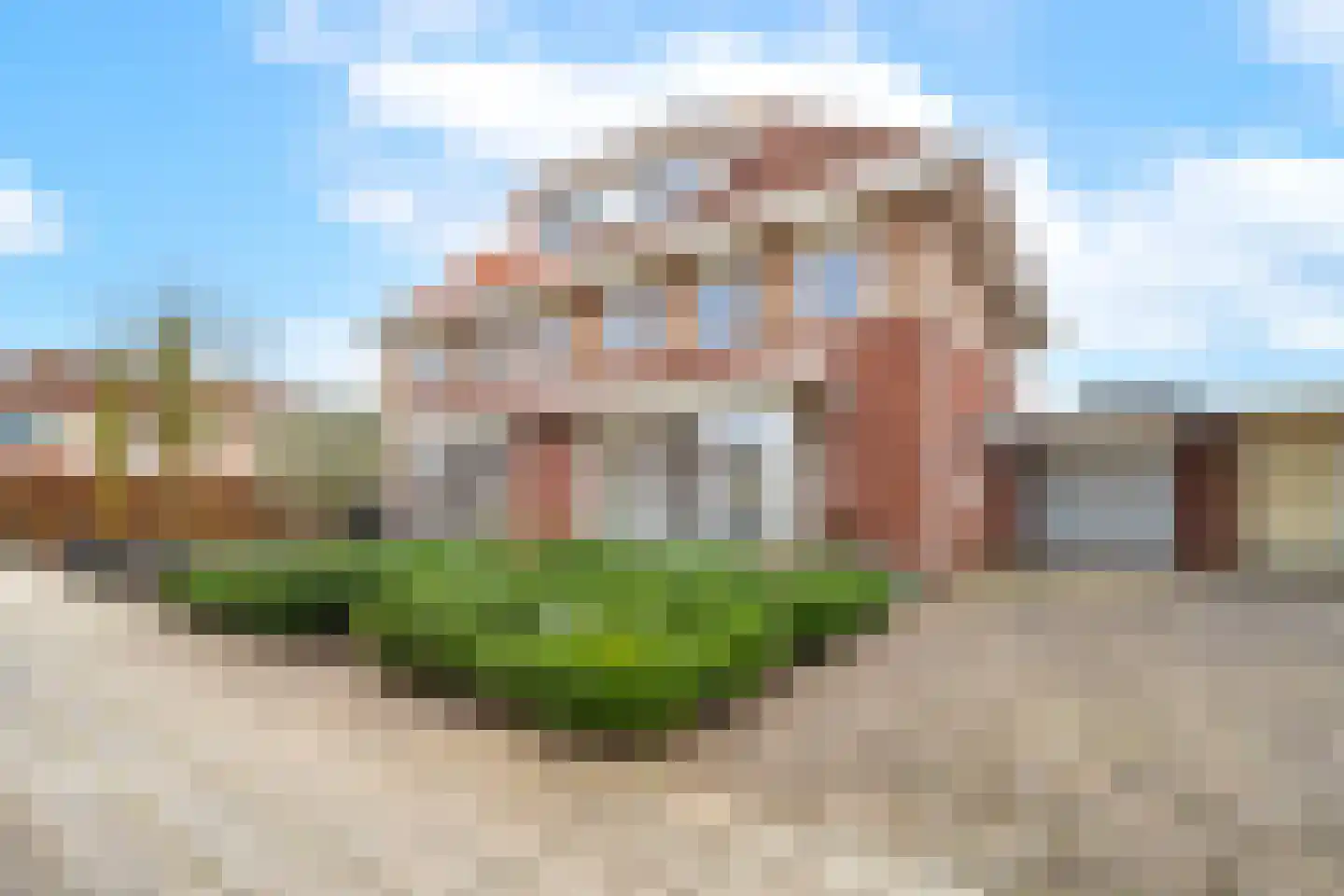 Duifkruid 102 Tiel thumbnail 7