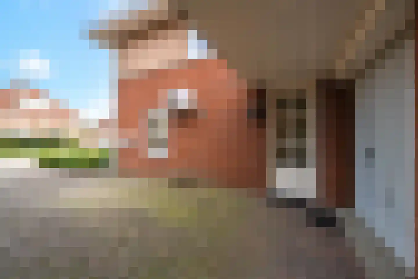 Duifkruid 102 Tiel thumbnail 9